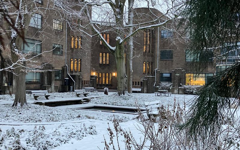 record.values.image.alt|default('')